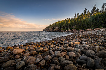 Sea, Nature, Stones, Rocks, Shore, Bank, Forest HD wallpaper