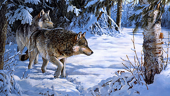 Wolves in Winter, snow, artwork, painting, trees, pair, forest, wolf HD wallpaper