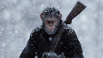 War For The Planet Of The Apes 2017 Movie, war-for-the-planet-of-the-apes, 2017-movies, movies HD wallpaper