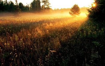 Nature, Sunset, Sun, Fog, Field, Evening, Stripes, Streaks, Herbs, Herbage, Clearances, Gaps HD wallpaper