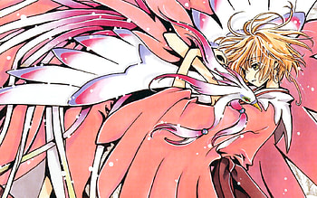 Sakura, k, a, u, r, s HD wallpaper