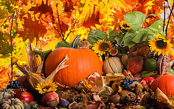 Autumn harvest jpg HD wallpaper