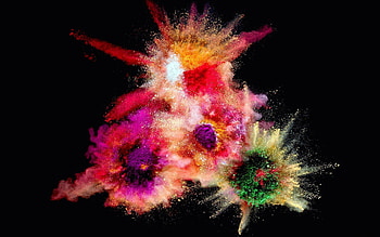 Colour powder, Vibrant colors, Artistic display, Abstract background HD wallpaper