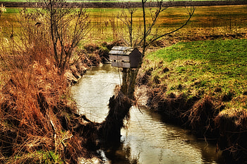 Nature, Wood, Tree, Field, River, Birdhouse HD wallpaper