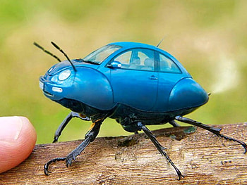 Bugy Car, cool HD wallpaper