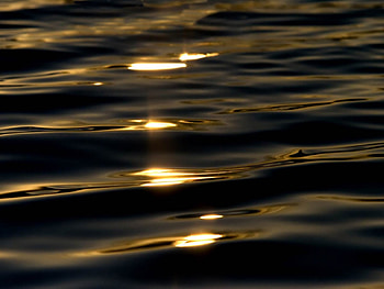 Golden Sunlight Ripples, golden, waves, sunlight, ripples, water HD wallpaper