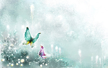 Butterflies, Insects HD wallpaper