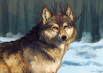 Art, Muzzle, Wolf, Fantastic, Fairy, Fabulous HD wallpaper
