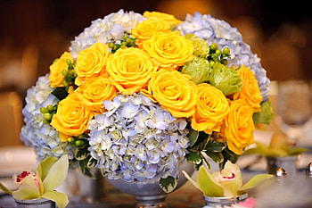 Luxury, sunshine, magnificent, wonderful, party, purple, yellow, nature, flowers, forever HD wallpaper