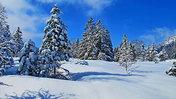 winter scenes, Winter beauty, Nature's tranquility, Serene snowy landscapes HD wallpaper