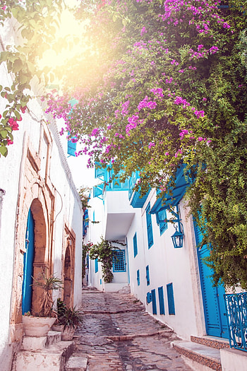 Tunisia, Travel ideas, Tunisian charm, Sidi Bou Said beauty HD phone wallpaper