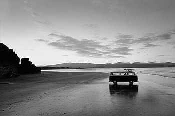 Fuer dich ..., dog, white, black, graphy, car, bw, wp, beach HD wallpaper