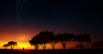 Evening Time , artist, artwork, digital-art, sunset, birds HD wallpaper