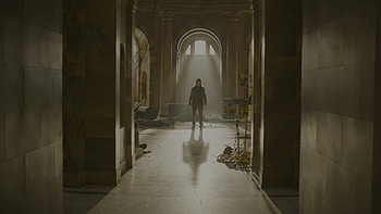 The Last Of Us (2023), TV Show, The Last Of Us HD wallpaper
