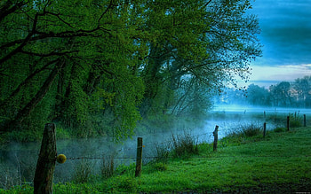 Nature, Rivers, Trees, Fog, Morning, Fence, Wire, Hedge HD wallpaper