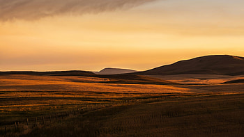 Golden Grassland Sunset Panorama, golden, grassland, sunset, panorama, hill, landscape, nature HD wallpaper