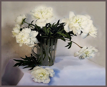 Peonies in white, table, white, peonies, green leaves, vase, flowers HD wallpaper