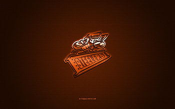Sheffield Steelers, British hockey club, EIHL, orange logo, orange carbon fiber background, Elite Ice Hockey League, hockey, Sheffield, England, Sheffield Steelers logo HD wallpaper