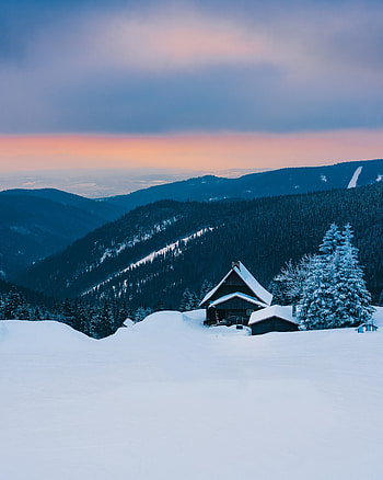Winter, Nature, Mountains, Snow, Alps, Small House, Lodge, Hut HD phone wallpaper