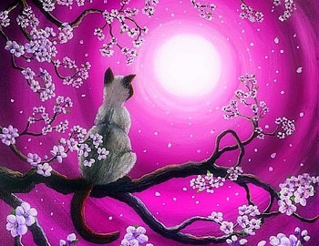 Morning Sakura, attractions in dreams, paintings, cat, spring, love four seasons, animals, sakura, draw and paint, nature HD wallpaper