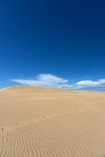 Nature, Sky, Sand, Desert, Wavy, Track, Dunes, Trace HD phone wallpaper