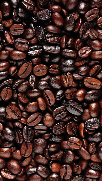 Beans, Coffee HD phone wallpaper