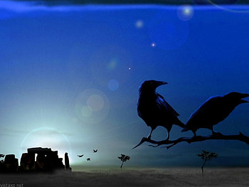 Friends, art HD wallpaper