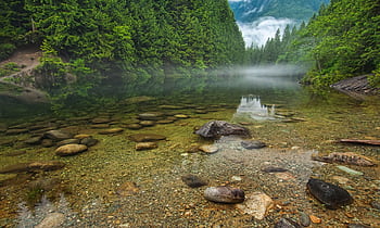 Tranquil river scene in Maple Ridge, BC, with clear water and lush green forest on a misty day. HD wallpaper