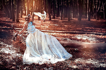 lady, model, graphy, beauty HD wallpaper