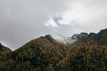 Landscape Mountains Dense Trees , landscape, mountains, trees, nature HD wallpaper