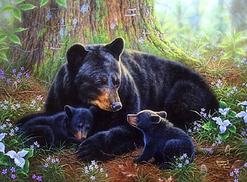 Love & Strong in her eyes, bears, beloved valentines, cute, paintings, love four seasons, family, animals, love, flowers HD wallpaper
