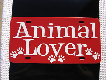 Great Human Quality, animal, white, great, lover, human, paws, soul, life, love, pets, red, heart, quality, forever HD wallpaper