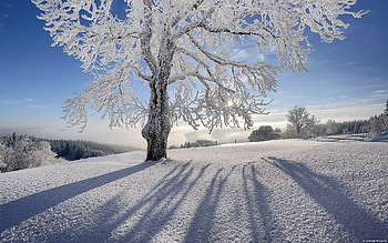Winter Backgrounds For ) – Adorable HD wallpaper