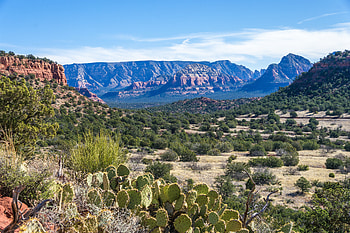 Nature, Cactuses, Canyon, Bush, Rocks, Prairie HD wallpaper