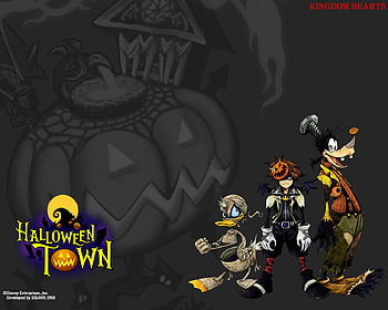 Disney, Video Game, Donald Duck, Goofy, Sora (Kingdom Hearts), Kingdom Hearts HD wallpaper