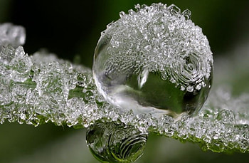 FROSTED RAIN, winter, frost, rain, raindrops, water drops, closeup, , water, macro HD wallpaper