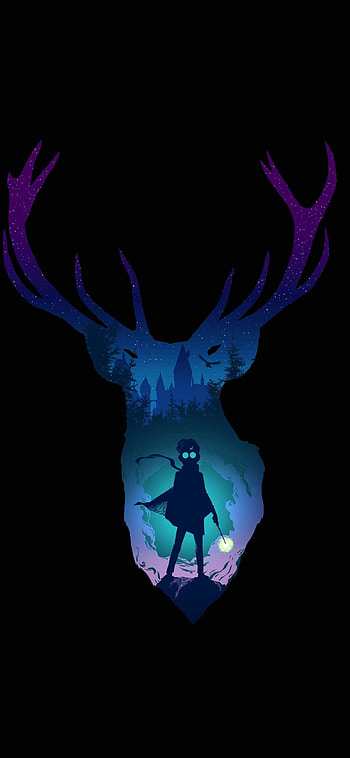 Harry Potter, Astonishing design, , Magical aura HD phone wallpaper