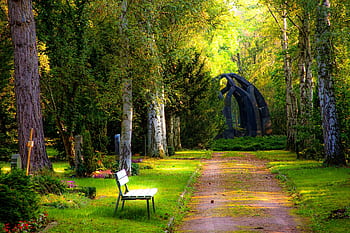 Serene pathway through a forested cemetery area with stone monuments and benches. HD wallpaper