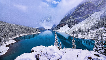 Winter spruce landscape, Ultra HD wallpaper