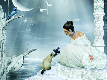 Friends, cats, fantasy, 3d, woman HD wallpaper