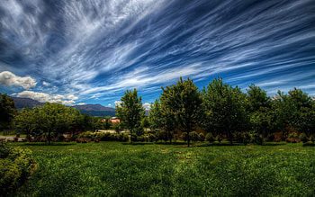 Nature, Trees, Sky, Clouds, Summer, Garden HD wallpaper
