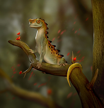 Funny, Art, Lizard, Reptile HD phone wallpaper