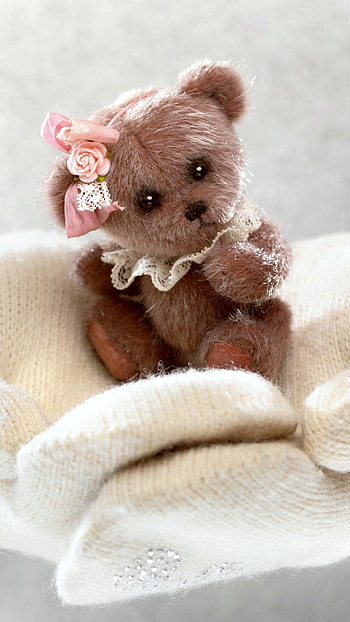 Beautiful Teddy Bear, Cute HD phone wallpaper