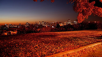 NIGHT IN AUTUMN, night, autumn, nature, light HD wallpaper