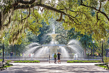 Living like a rock star, Savannah GA HD wallpaper