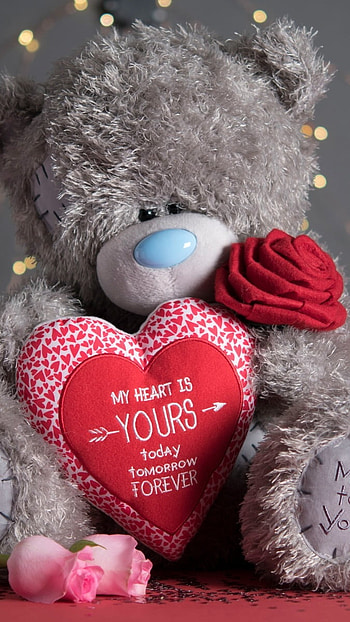 Teddy Bear Love, Beautiful, Red Rose HD phone wallpaper