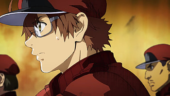 Cells at Work! Code Black, Qoo news, Anime adaptation, QooApp anime games HD wallpaper