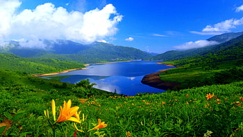 SPRING, FLOWERS, NATURE, MOUNTAINS, LAKE HD wallpaper