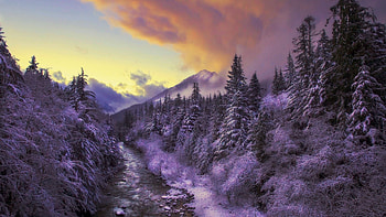 Winter in the Mountains, sunset, snow, clouds, trees, landscape, sky HD wallpaper
