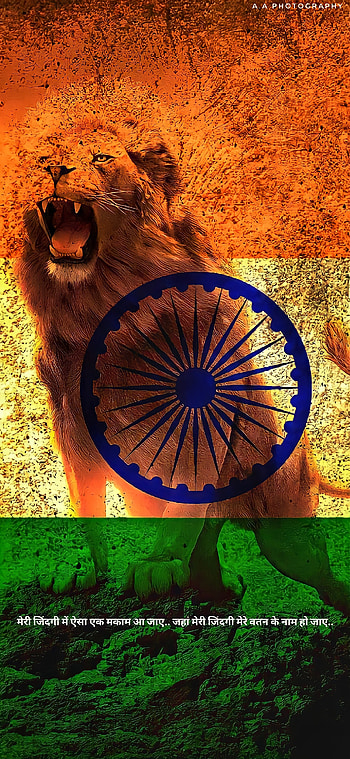 INDIAN FLAG BY ARSHIT, big_cats, art HD phone wallpaper